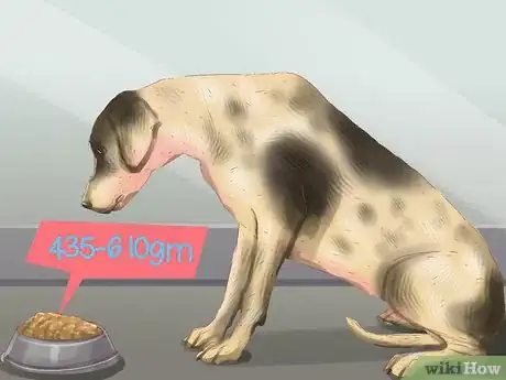 Image titled Know if You Can Handle a Big Dog Step 11