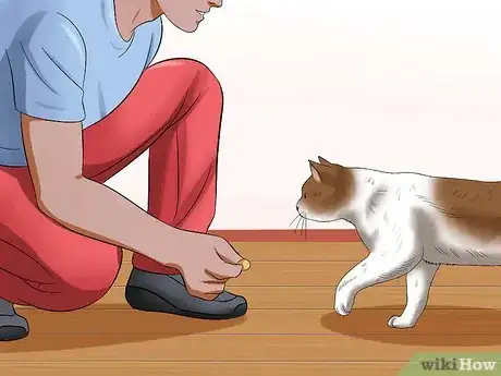 Image titled Bathe Your Cat With a Damp Towel Step 4