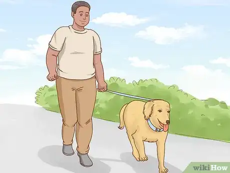 Image titled Get a Dog to Stop Eating Dirt Step 10