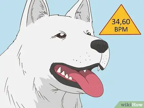 Image titled Tell if Your Dog Is Having a Medical Emergency Step 11