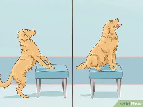 Image titled Teach Your Dog to Jump Step 7