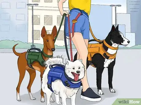 Image titled Train Your Service Dog Without a Professional Trainer Step 4