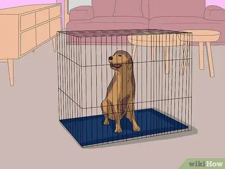 Image titled Dog Sit Step 12