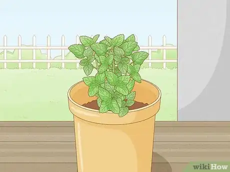 Image titled Grow Mint in a Pot Step 22