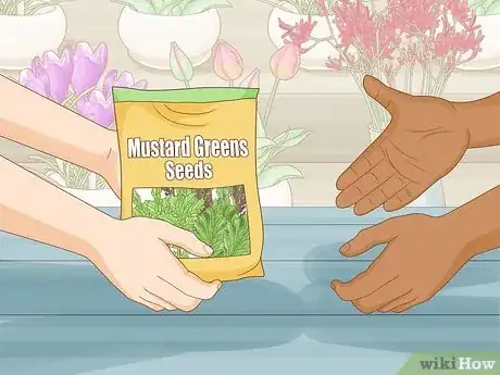 Image titled Grow Mustard Greens Step 2