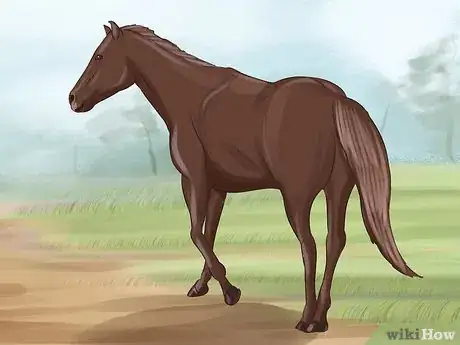 Image titled Tame a Horse or Pony Step 17