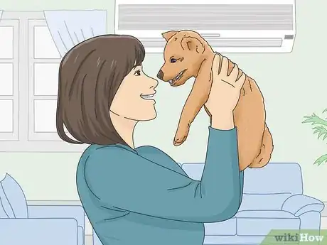 Image titled Get a Puppy to Stop Growling when You Pick Them Up Step 3