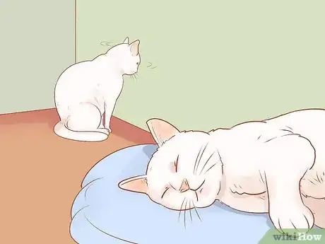 Image titled Know if Your Cat Is Sick Step 10