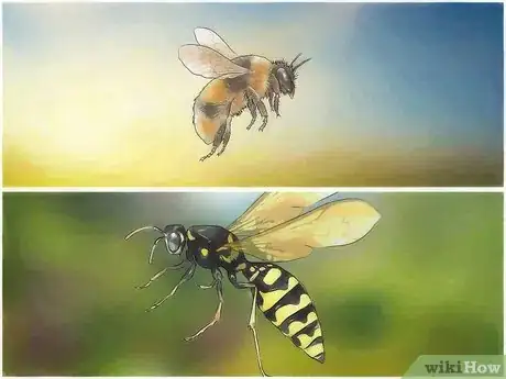 Image titled Kill Yellow Jackets Step 1