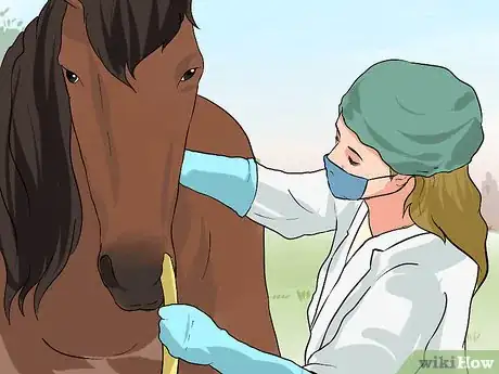 Image titled Diagnose Heaves in Horses Step 13