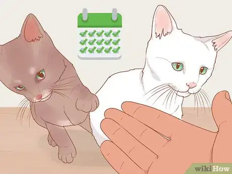 Image titled Be Nice to Your Pets Step 1