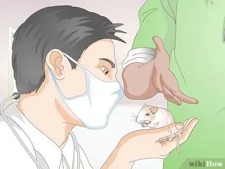 Image titled Know if a Gerbil Is Ill Step 12