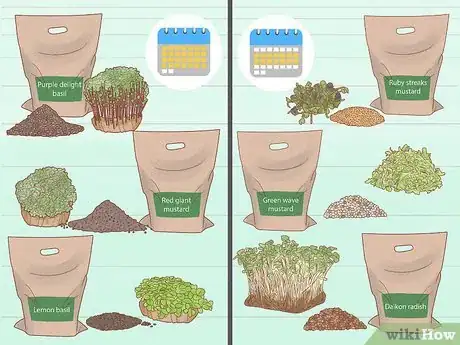 Image titled Grow Microgreens Step 5