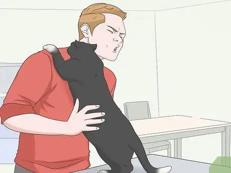 Image titled Convince Your Man to Get a Cat Step 4