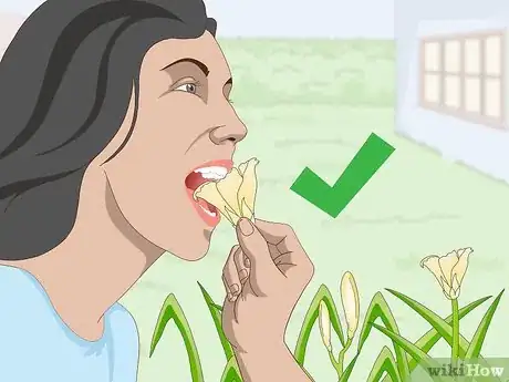 Image titled Eat Daylilies Step 11