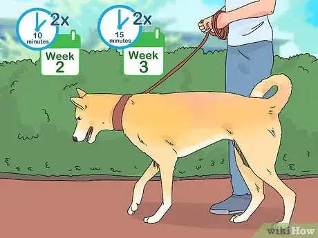 Image titled Build a Dog's Muscles Step 12