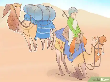 Image titled Buy a Camel Step 8