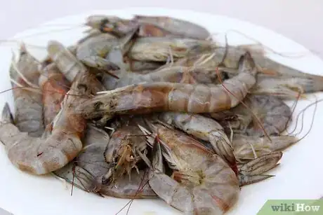 Image titled Freeze Shrimp Step 13