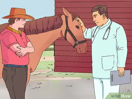 Image titled Treat Horse Eye Problems Step 1