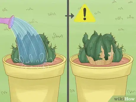 Image titled Grow a Cactus Step 12