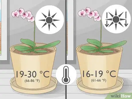 Image titled Care for Phalenopsis Orchids (Moth Orchids) Step 5