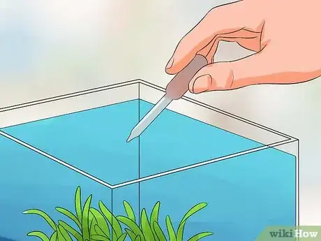 Image titled Help a Betta Fish Live Longer Step 14