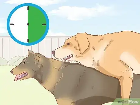 Image titled Deal with Common Mating Problems in Dogs Step 5