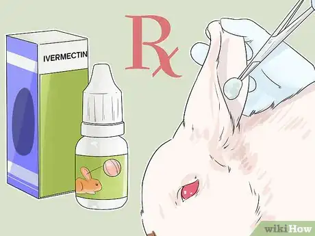 Image titled Diagnose Ear Mites in Rabbits Step 7