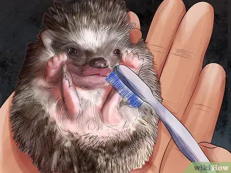 Image titled Bathe a Hedgehog Step 11