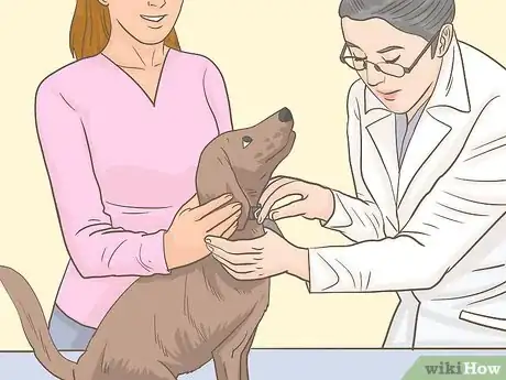 Image titled Get an Emotional Support Animal Letter Step 10