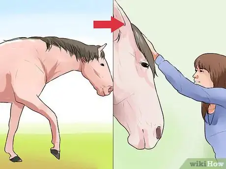 Image titled Discipline a Horse Without Using Aggression Step 7