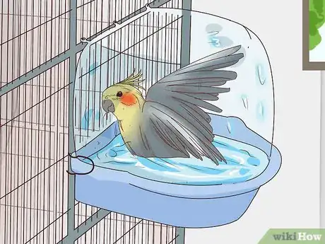 Image titled Buy a Pet Cockatiel Step 11