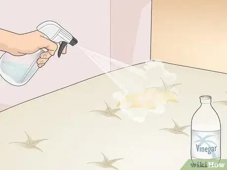 Image titled Get Rid of Urine Smell Step 3