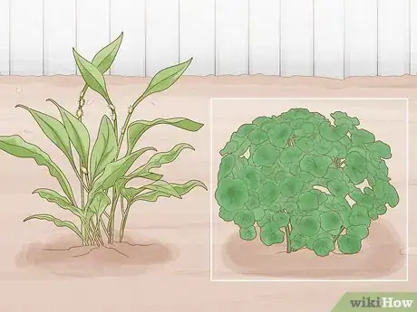 Image titled Keep Aphids Away Using Eco Friendly Methods Step 10