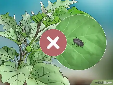 Image titled Grow Eggplant Step 14