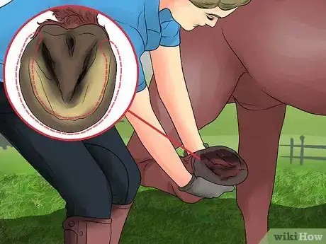 Image titled Pick a Horse Hoof Step 9