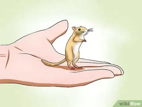 Image titled Pick up a Gerbil Step 10