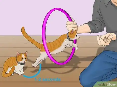 Image titled Train a Cat to Jump Through a Hoop Step 9