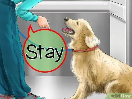 Image titled Get Rid Of Your Pup’s Elevator Phobia Step 13