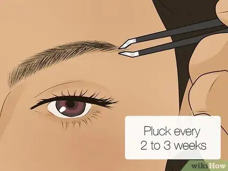 Image titled Shape Eyebrows Before Waxing Step 15