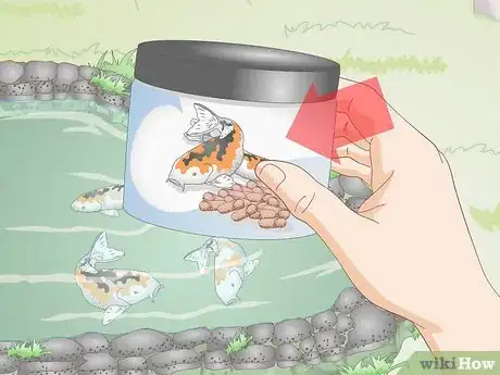 Image titled Feed Koi Step 1