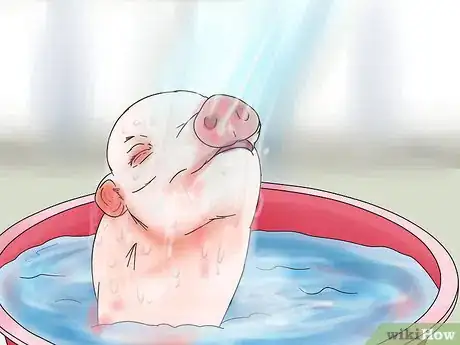 Image titled Give Your Pig a Bath Step 7