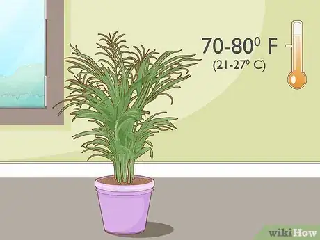 Image titled Care for a Potted Palm Tree Step 3