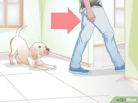 Image titled Stop a Dog from Licking Everything Step 5