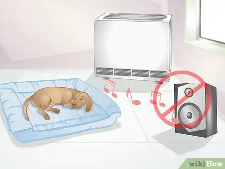 Image titled Choose a Place for Your Dog to Sleep Step 11