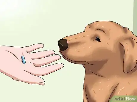 Image titled Help Your Dog Lose Weight Step 6