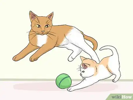 Image titled Stop an Older Cat from Attacking a Kitten Step 10