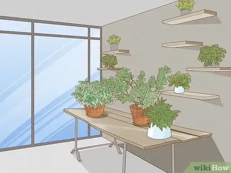 Image titled Arrange Plants in Living Room Step 5