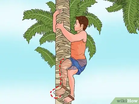 Image titled Climb a Palm Tree Step 11