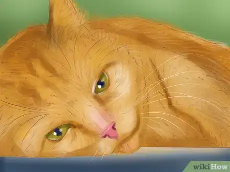 Image titled Know if Your Cat Has Kidney Issues Step 4